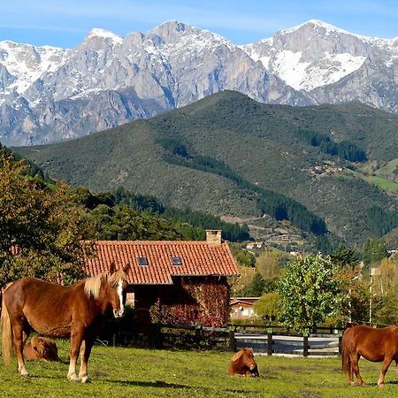 Hotel-Posada La Casa De Frama Εξωτερικό φωτογραφία