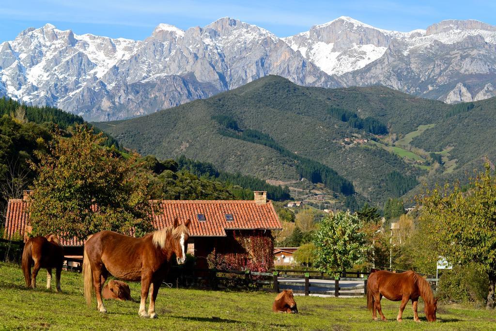 Hotel-Posada La Casa De Frama Εξωτερικό φωτογραφία